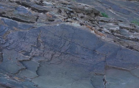 চীনে বিশ্বের ছাদে কিন রাজবংশের শিলালিপি আবিষ্কার