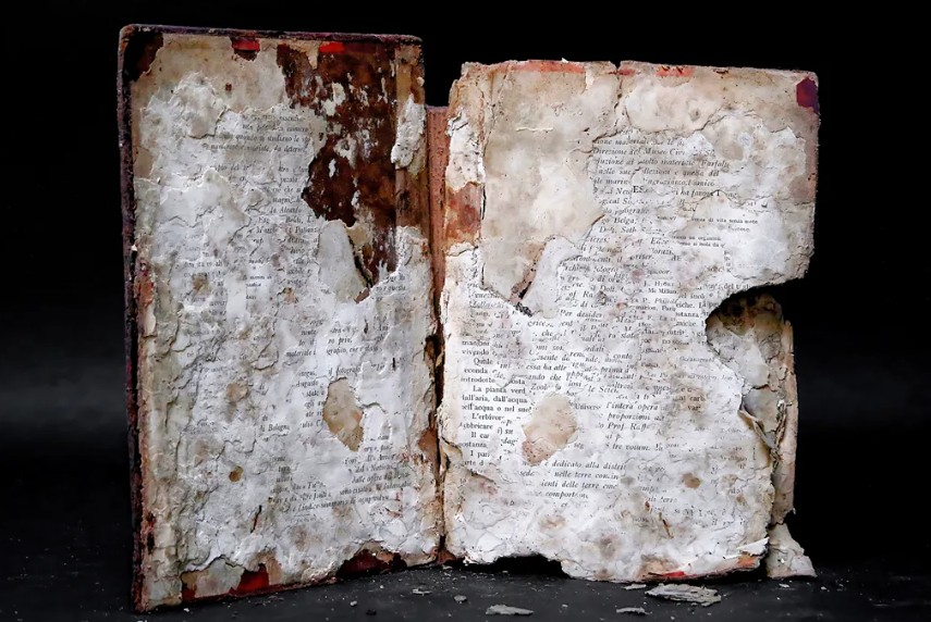 ভেনিসের বন্যায় রক্ষা পাওয়া শতবর্ষী বইয়ের গল্প