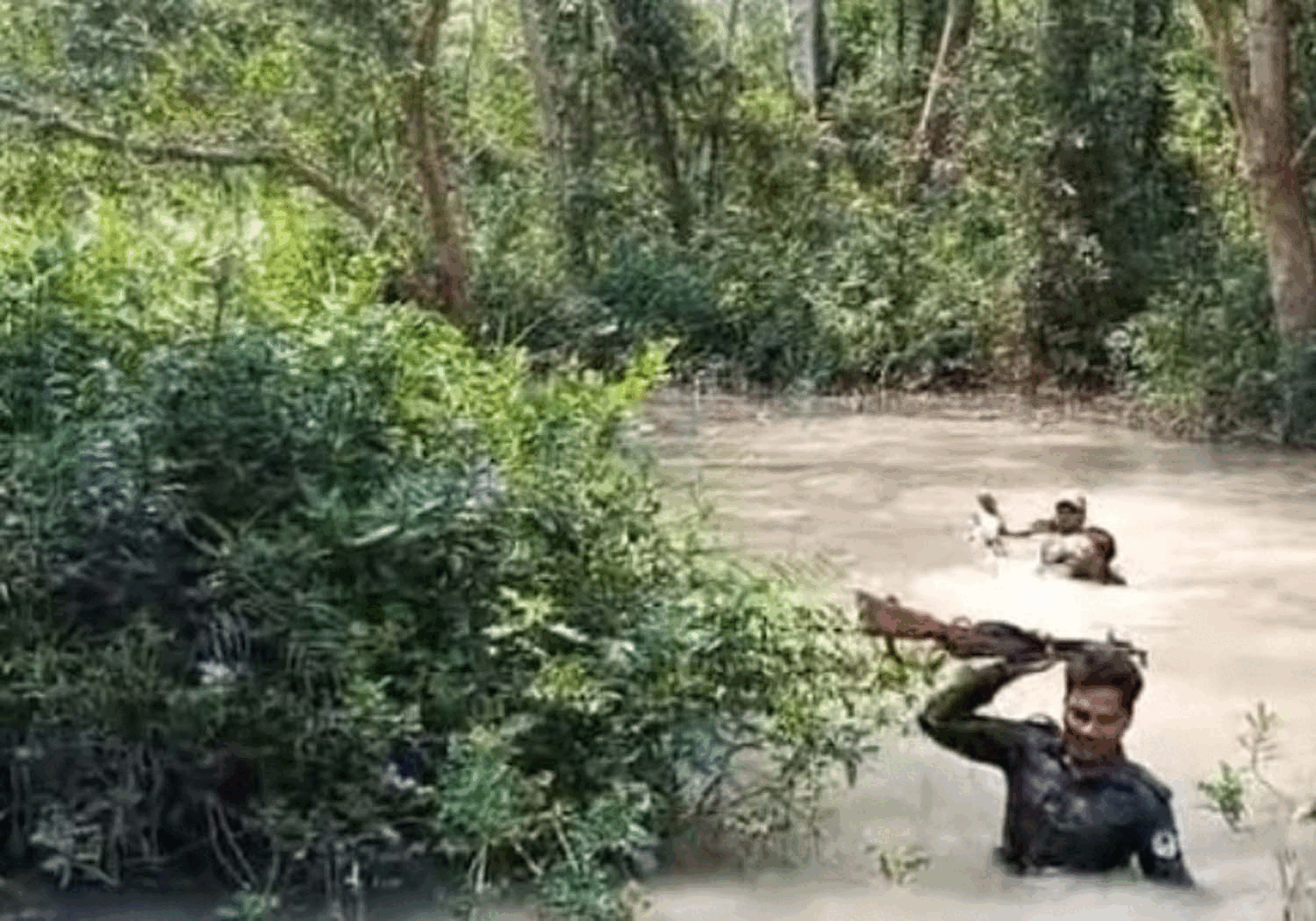 সুন্দরবনের সবুজ হৃদয়ে রক্তাক্ত ছায়া: হরিণ শিকারের নতুন কৌশল নিয়ে তৎপর!