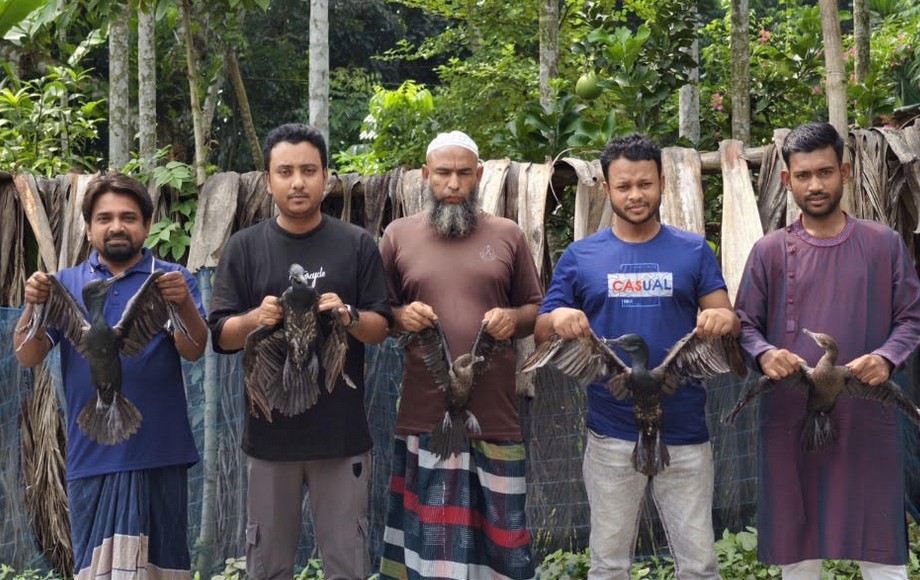 গুরুদাসপুরে পানকৌড়ির মুক্তির উল্লাস
