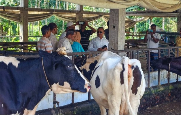 রুনার সাফল্যে উদ্ভাসিত গ্রামীণ অর্থনীতি