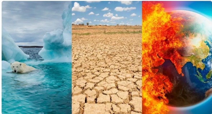 ট্রাম্পের অস্বীকারেও থামছে না বিশ্বজুড়ে জলবায়ু লড়াই