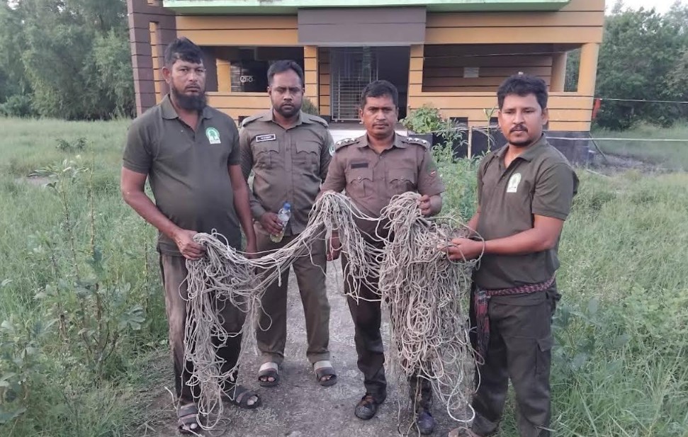 সুন্দরবনে মালা ফাঁদ উদ্ধার: বন্যপ্রাণী রক্ষায় বনবিভাগের সফল অভিযান