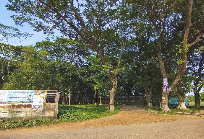 এইচএসসি’র ফলাফল বিপর্যয়, নতুন কর্মপরিকল্পনা নাসিরনগর সরকারি কলেজে