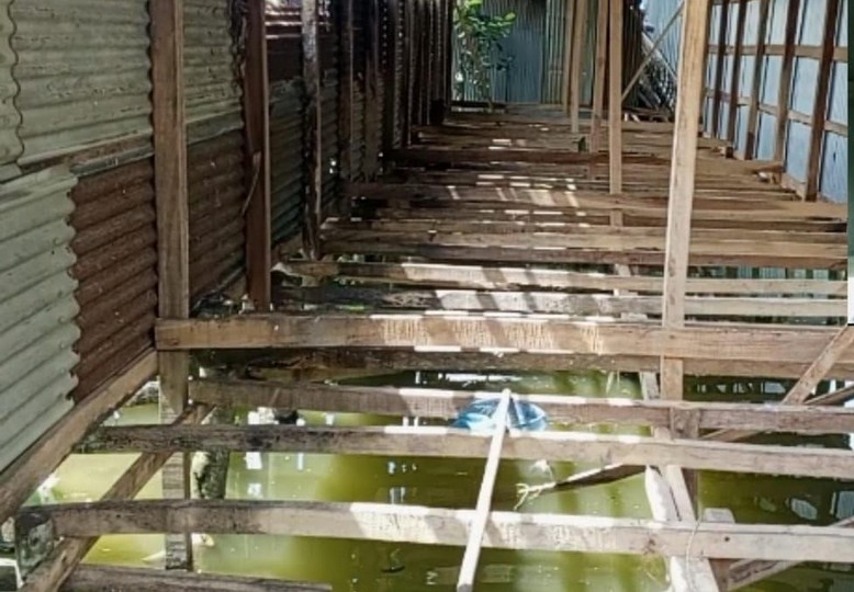 আমতলীতে চুরির তাণ্ডব!