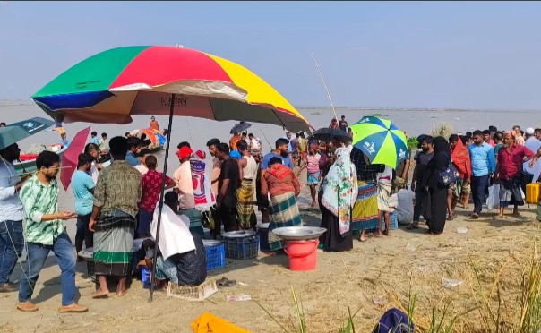 পদ্মার বুকে নিষেধাজ্ঞার কান্না, ইলিশের হাটে অন্ধকারের ছায়া!