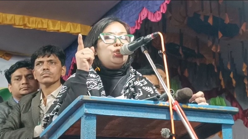 বাংলাদেশের মানুষ স্বাধীনভাবে মত প্রকাশ করতে চায় : রুমিন ফারহানা