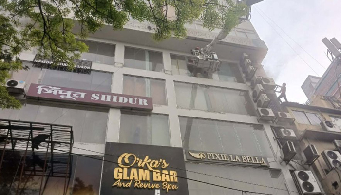 মিরপুরে বহুতল ভবনে আগুন